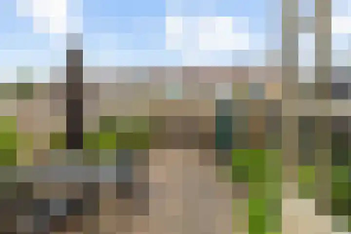 Laafnet 3 Hoogvliet Rotterdam thumbnail 9