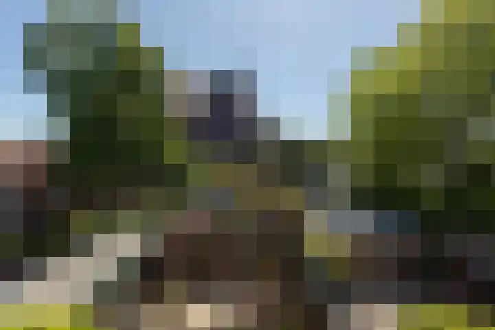 Laag Bolwerk 20 Bolsward thumbnail 34