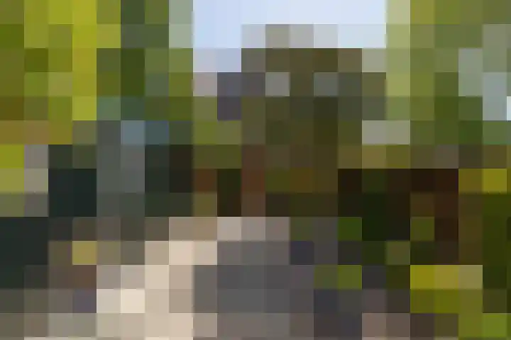 Laag Bolwerk 20 Bolsward thumbnail 35