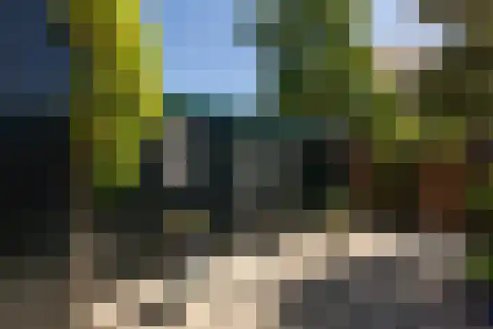 Laag Bolwerk 20 Bolsward thumbnail 37