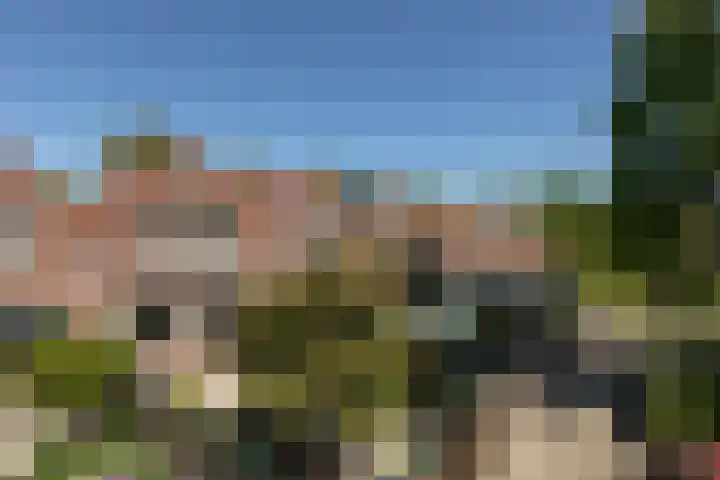 Laag Bolwerk 20 Bolsward thumbnail 40
