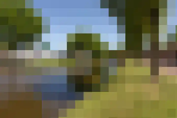 Laag Bolwerk 20 Bolsward thumbnail 43