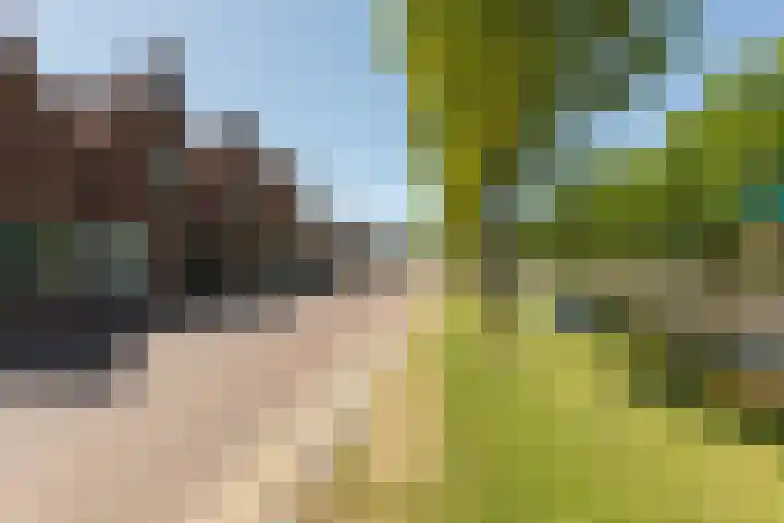 Laag Bolwerk 20 Bolsward thumbnail 44