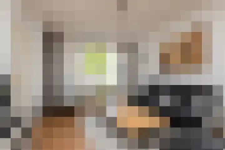 Laag Bolwerk 20 Bolsward thumbnail 8