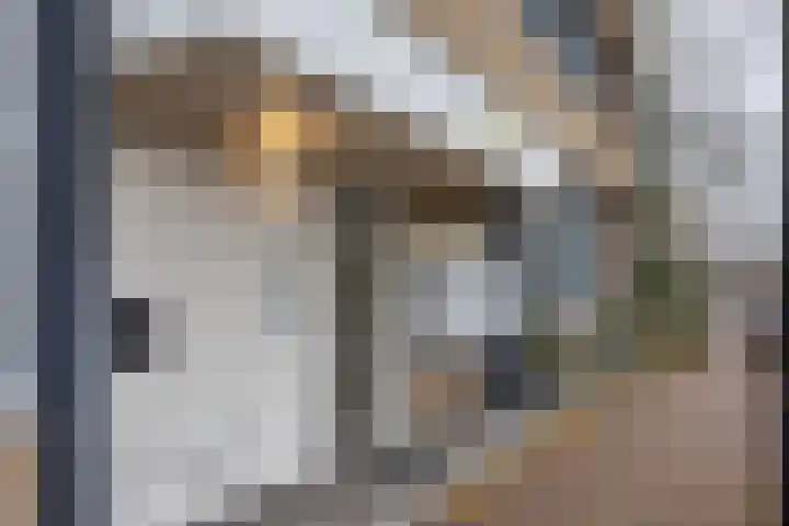 Laag Bolwerk 45 W Bolsward thumbnail 4