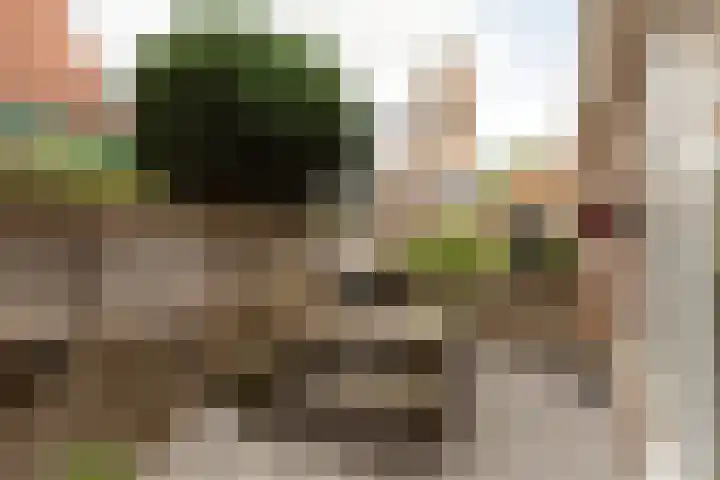 Laag Bolwerk 71 Bolsward thumbnail 4