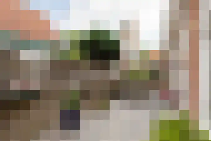 Laag Bolwerk 71 Bolsward thumbnail 40