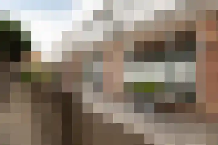 Laag Bolwerk 71 Bolsward thumbnail 43