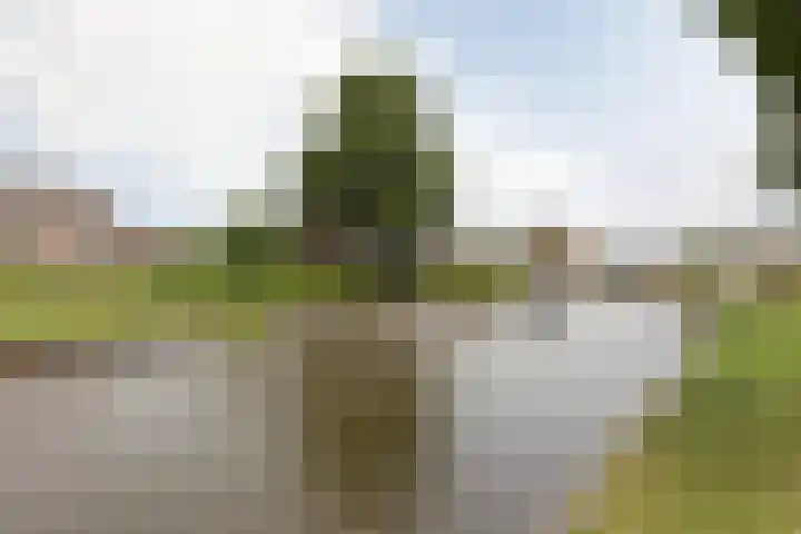 Laag Bolwerk 71 Bolsward thumbnail 44