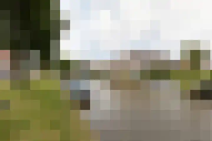 Laag Bolwerk 71 Bolsward thumbnail 45