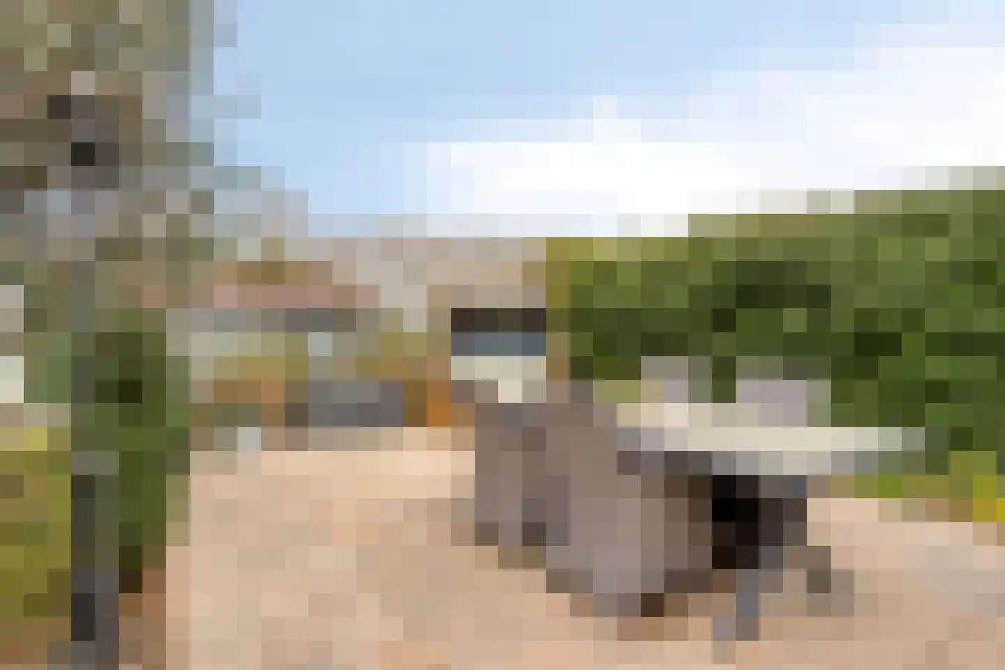 Laag Boskoop 151 Boskoop thumbnail 16
