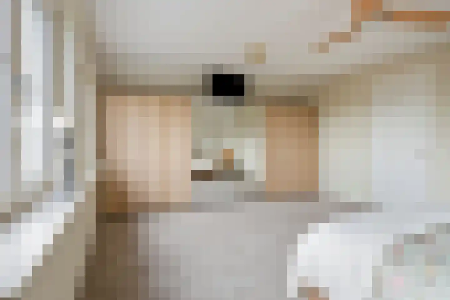 Laag Boskoop 151 Boskoop thumbnail 26