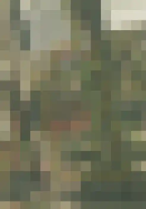 Laag Boskoop 151 Boskoop thumbnail 40