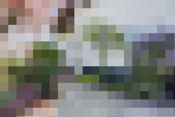 Laag Boskoop 2 Boskoop thumbnail 10