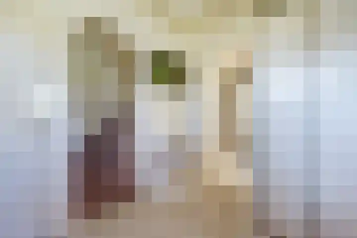 Laag Boskoop 2 Boskoop thumbnail 12