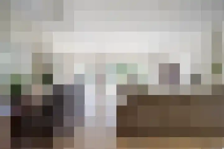 Laag Boskoop 2 Boskoop thumbnail 13