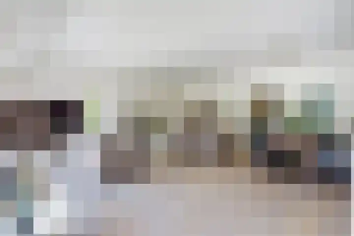 Laag Boskoop 2 Boskoop thumbnail 14
