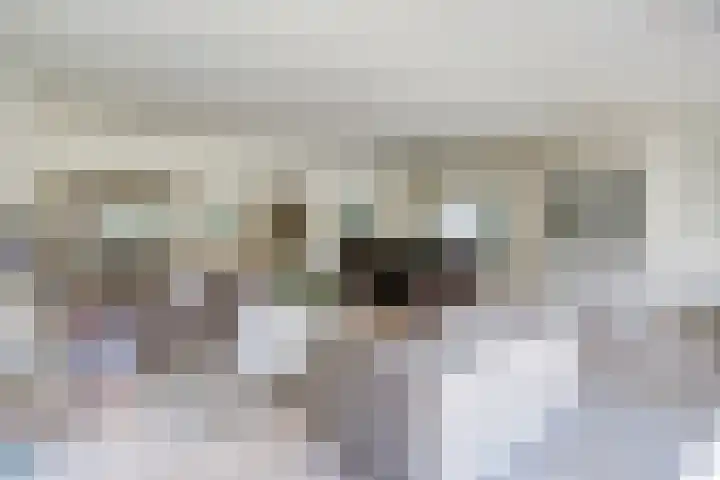 Laag Boskoop 2 Boskoop thumbnail 16