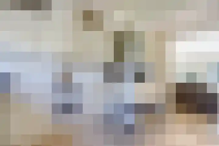 Laag Boskoop 2 Boskoop thumbnail 17