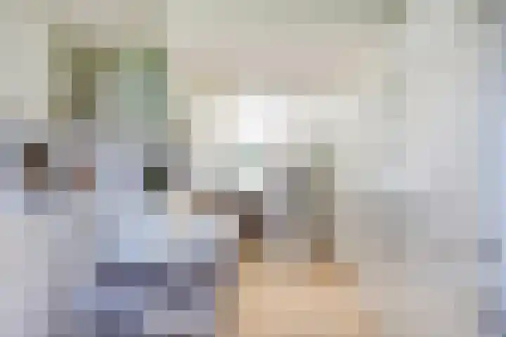 Laag Boskoop 2 Boskoop thumbnail 18