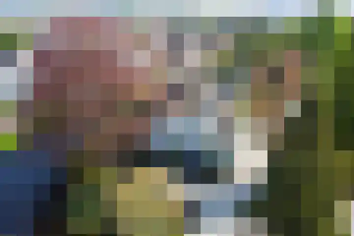 Laag Boskoop 2 Boskoop foto 2