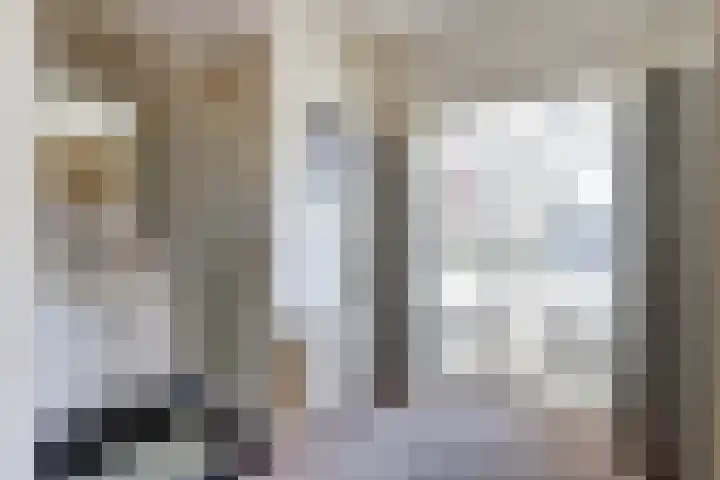 Laag Boskoop 2 Boskoop thumbnail 25