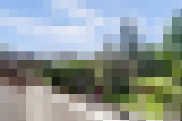 Laag Boskoop 2 Boskoop thumbnail 27