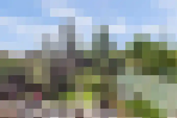 Laag Boskoop 2 Boskoop thumbnail 28