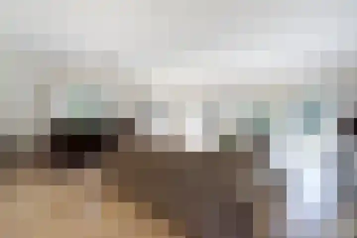 Laag Boskoop 2 Boskoop foto 3