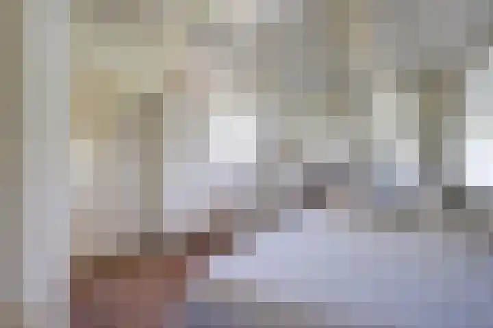 Laag Boskoop 2 Boskoop thumbnail 31