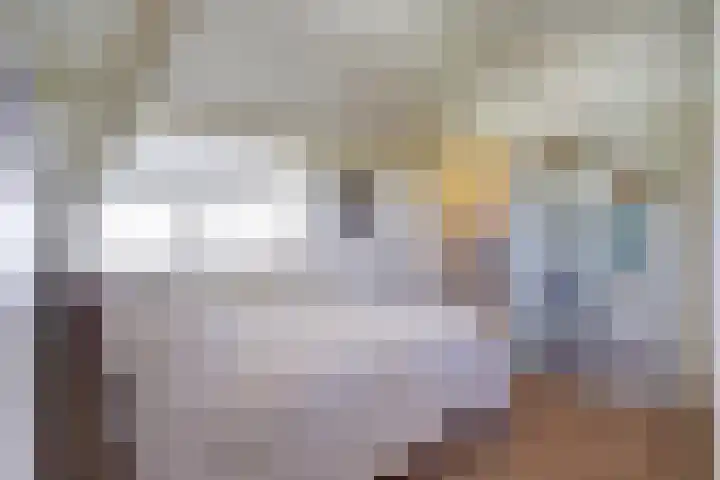 Laag Boskoop 2 Boskoop thumbnail 32