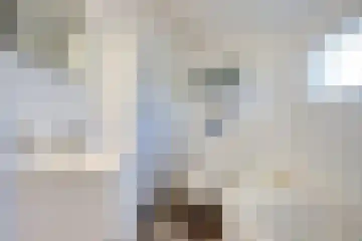 Laag Boskoop 2 Boskoop thumbnail 33