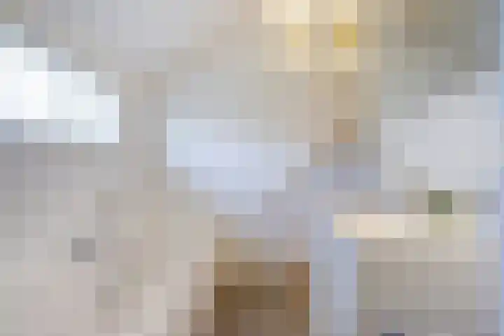 Laag Boskoop 2 Boskoop thumbnail 34