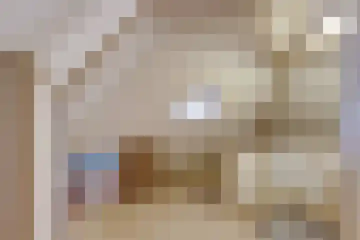 Laag Boskoop 2 Boskoop thumbnail 36