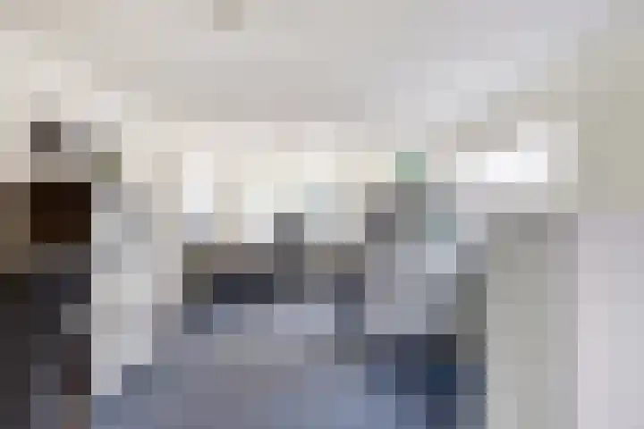 Laag Boskoop 2 Boskoop thumbnail 38