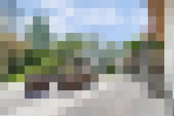 Laag Boskoop 2 Boskoop thumbnail 39