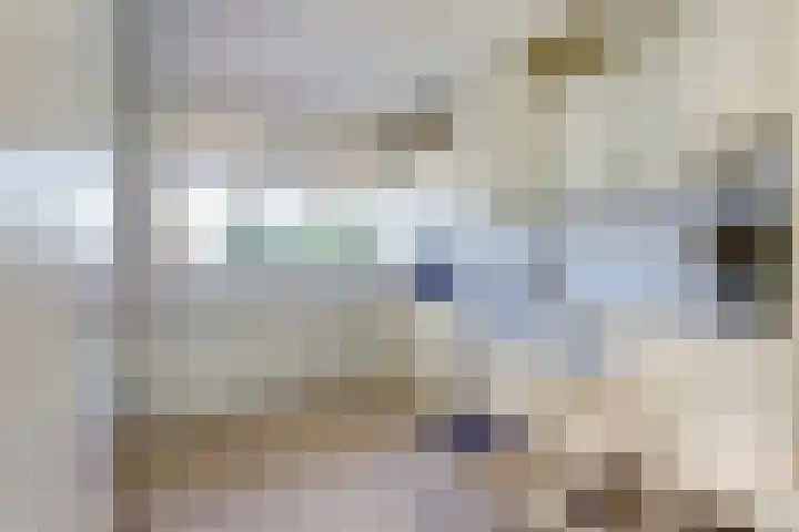 Laag Boskoop 2 Boskoop thumbnail 4