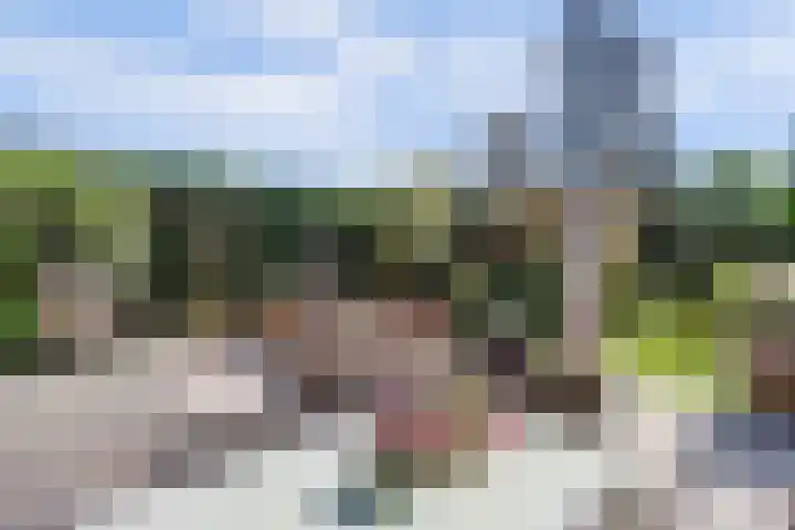 Laag Boskoop 2 Boskoop thumbnail 40