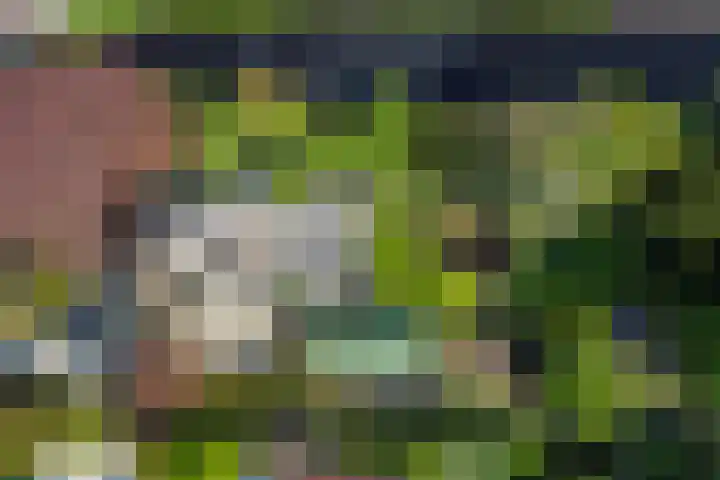 Laag Boskoop 2 Boskoop thumbnail 41