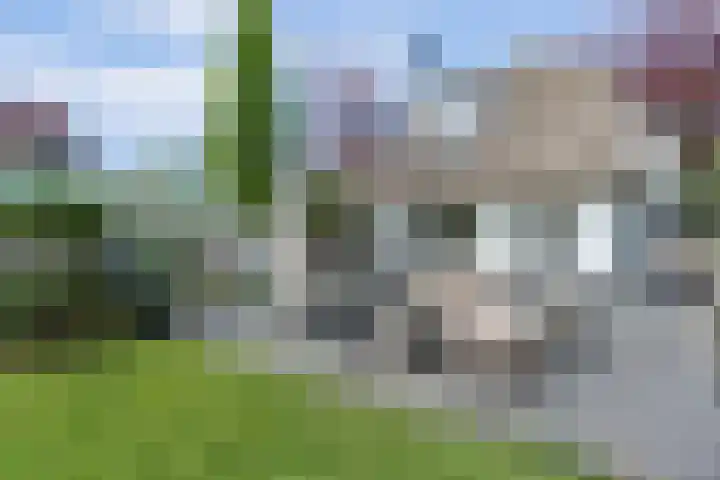 Laag Boskoop 2 Boskoop thumbnail 43