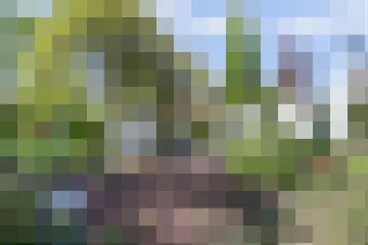 Laag Boskoop 2 Boskoop thumbnail 44