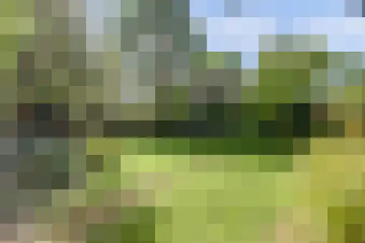 Laag Boskoop 2 Boskoop thumbnail 46