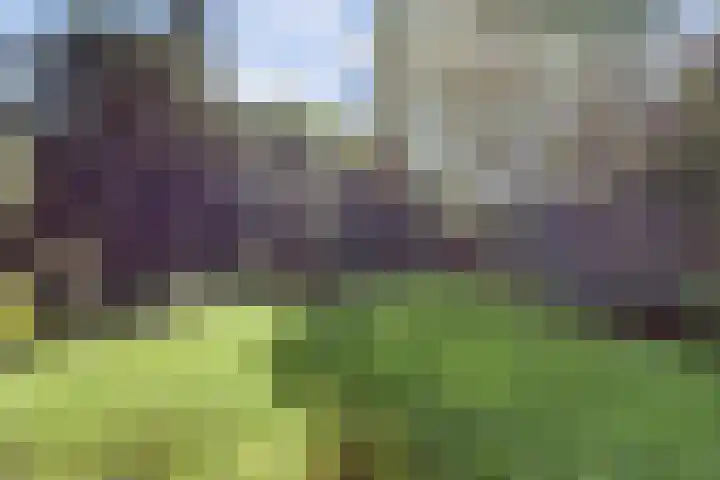 Laag Boskoop 2 Boskoop thumbnail 47