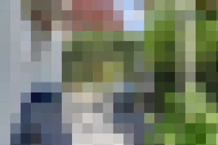 Laag Boskoop 2 Boskoop thumbnail 48