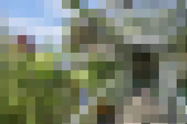 Laag Boskoop 2 Boskoop thumbnail 49