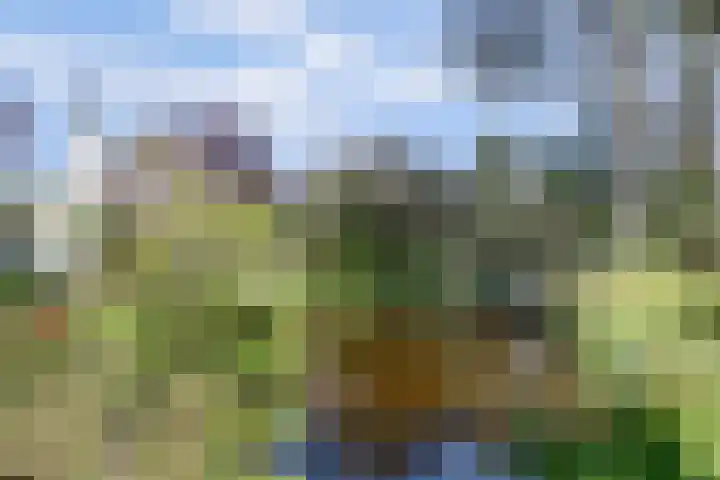 Laag Boskoop 2 Boskoop thumbnail 5