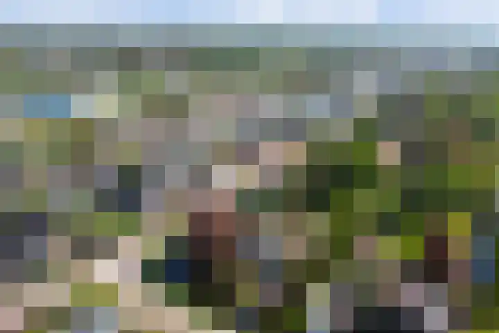 Laag Boskoop 2 Boskoop thumbnail 51