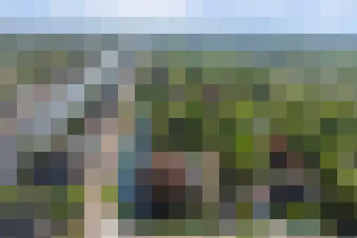 Laag Boskoop 2 Boskoop thumbnail 52