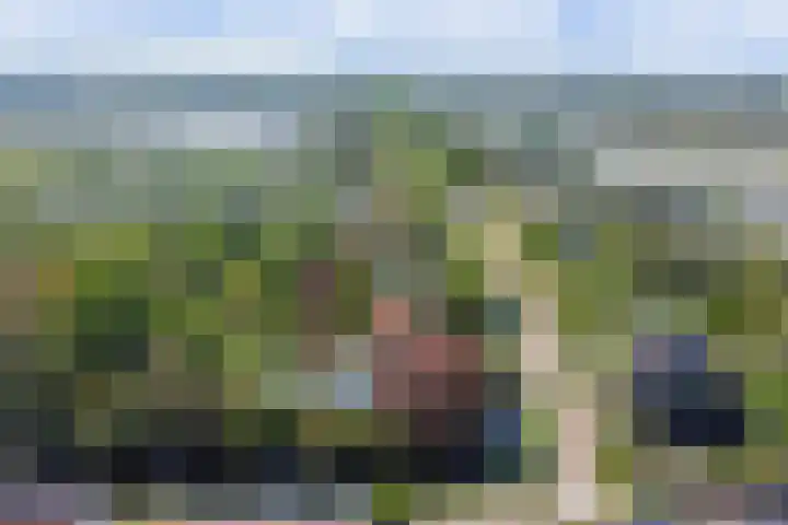 Laag Boskoop 2 Boskoop thumbnail 53