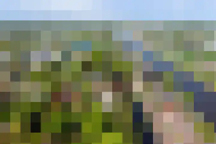 Laag Boskoop 2 Boskoop thumbnail 54